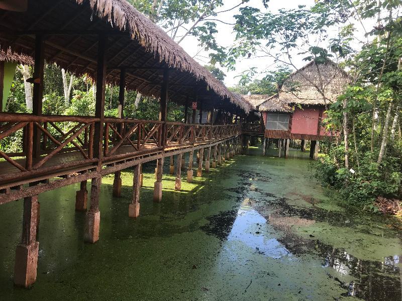 Heliconia Amazon River Lodge Francisco de Orellana Ngoại thất bức ảnh